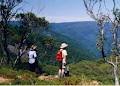 Gippsland High Country Tours image 5