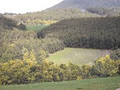 Glenbrook House & Cottage image 6