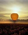 Global Ballooning Melbourne image 5