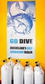 Go Dive Brisbane. Scuba Brisbane image 6