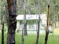 Goomburra Forest Retreat image 4