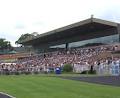 Gosford Race Club image 1