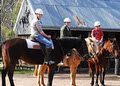 Grampians Horse Riding Adventures image 3