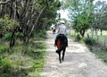 Grampians Horse Riding Adventures image 5