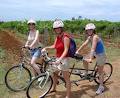 Grapemobile Bicycle Hire logo