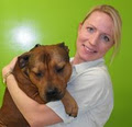 Greenvale Animal Hospital image 6