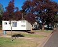 Griffith Tourist Caravan Park logo