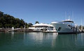 Half Moon Bay Marina Cairns image 3