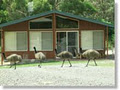 Halls Gap Valley Lodges logo