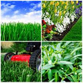 Happy Home Lawn Mowing image 1