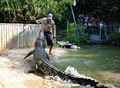 Hartley's Crocodile Adventures logo