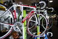 Hawkesbury Cycles image 6