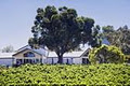 Hay Shed Hill & Pitchfork Wines logo
