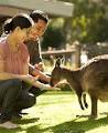 Healesville Sanctuary image 3