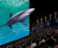 IMAX Theatre Sydney image 1