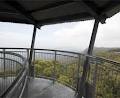 Illawarra Fly Treetop Walk image 2