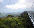 Illawarra Fly Treetop Walk image 3