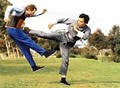 International Wing Chun Academy logo
