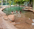 Island Leisure Resort image 3