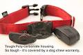 K9 Collars image 3