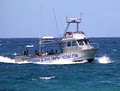 Kiama Charter Service image 2