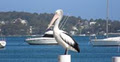 Lake Macquarie Houseboats image 4