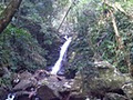 Lamington National Park image 2