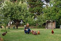 Lemon Gum B&B image 5