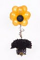 Lollypops Confectionery & Party Supplies image 1