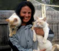 Lonely Pets Club Brunswick image 1