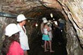 Long Tunnel Extended Gold Mine image 2