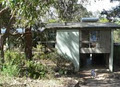 Lyrebird Dell image 1