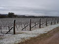 MAYFIELD VINEYARD image 2