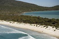 Maria Island Walk image 2