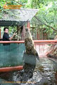 Marineland Melanesia image 2