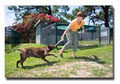 Maroochy Boarding Kennels logo