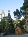 Melbourne Town Hall image 5