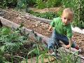 Milkwood Permaculture image 6