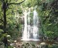 Minnamurra Rainforest Centre image 2