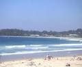 Mollymook Beach Surf School image 5