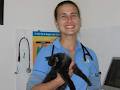 Moonee Beach Veterinary Surgery image 3