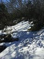 Mount Buffalo National Park image 2