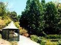 Mount Lofty Botanic Garden logo