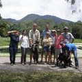 Mount N Ride Rainforest Horseback Tours Cairns image 2