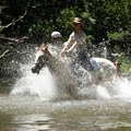 Mount N Ride Rainforest Horseback Tours Cairns logo