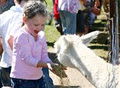 Mowbray Park Farmstay Holidays image 4