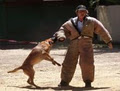 Multi National K9 image 4