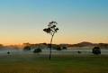 Nambucca Heads Florist image 2