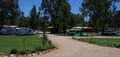 Narrandera Caravan Park image 2