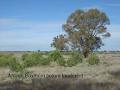 Narromine Shire Council image 3